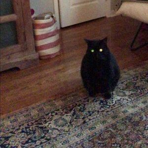 Meet your Posher, Roger